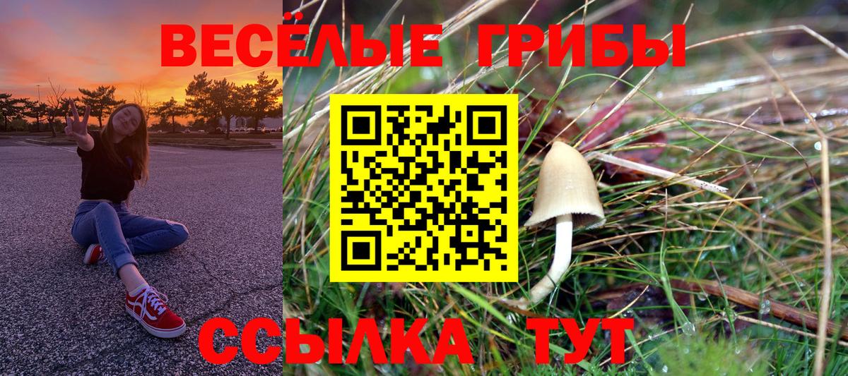 Лыткарино  Галлюциногенные грибы мухоморы  купить   Вход с VPN 